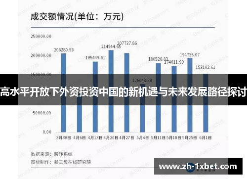 高水平开放下外资投资中国的新机遇与未来发展路径探讨