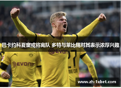 巴卡约科夏窗或将离队 多特与莱比锡对其表示浓厚兴趣