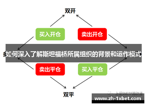如何深入了解斯坦福桥所属组织的背景和运作模式