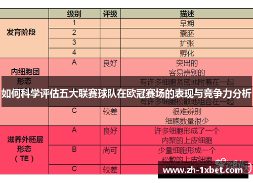 如何科学评估五大联赛球队在欧冠赛场的表现与竞争力分析