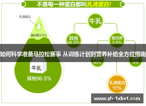 如何科学准备马拉松赛事 从训练计划到营养补给全方位指南